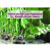 MANUAL TEKNOLOGI FERTIGASI PENANAMAN CILI, ROCKMELON DAN TOMATO