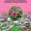 MANUAL TEKNOLOGI PEMBIAKAN TANAMAN HIASAN EKSOTIK