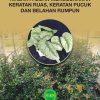 MANUAL TEKNOLOGI PEMBIAKAN TANAMAN HIASAN PASUAN MENGGUNAKAN KERATAN RUAS, KERATAN PUCUK DAN BELAHAN RUMPUN