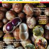 AGROMEDIA BIL. 79 2025
