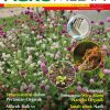 AGROMEDIA BIL. 82 2025 – KHAS PERTANIAN ORGANIK (SKOR)