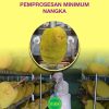 MANUAL TEKNOLOGI MEKANISASI PEMPROSESAN MINIMUM NANGKA