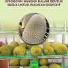 MANUAL TEKNOLOGI PENYEJUKBEKUAN KRIOGENIK NANGKA DALAM BENTUK SEBIJI UNTUK PASARAN EKSPORT