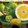 AGROMEDIA BIL. 87 KHAS CITRUS